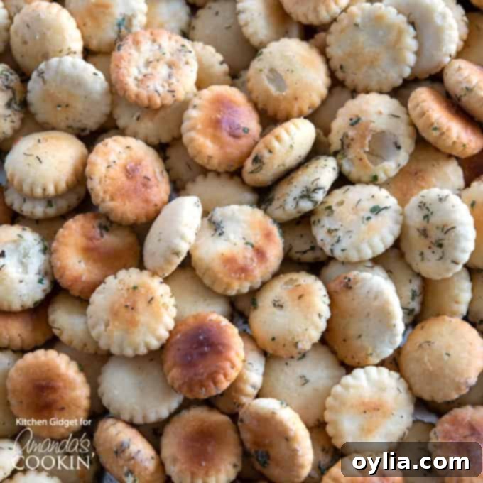 Ranch Seasoned Oyster Crackers- close up