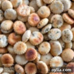 Ranch Seasoned Oyster Crackers- close up