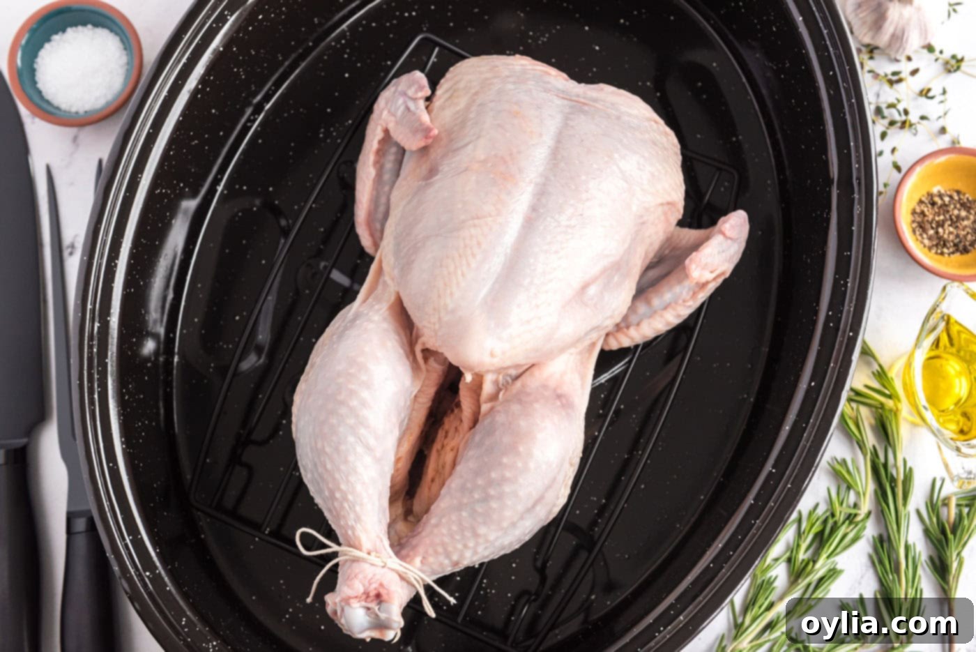 Whole chicken in a roasting pan tied with butchers twine
