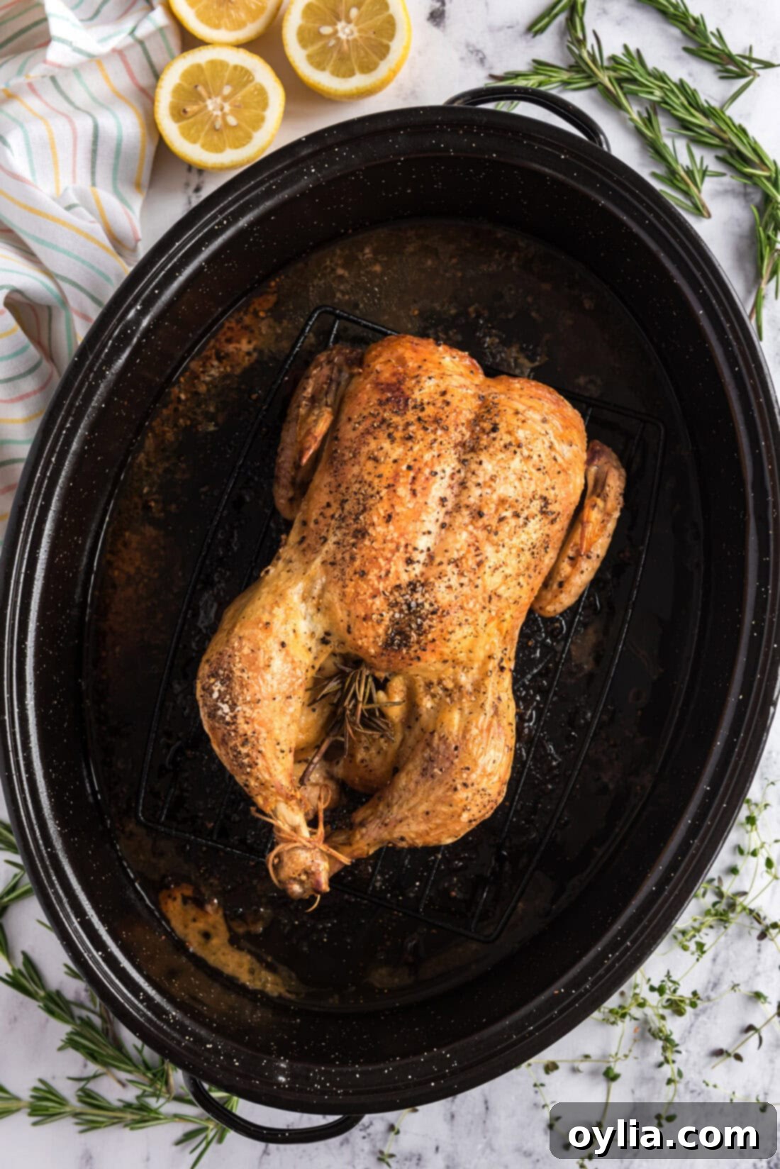 Roasted Chicken in a roasting pan