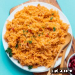A delicious bowl of Classic Spanish Rice with beans, photographed from above.