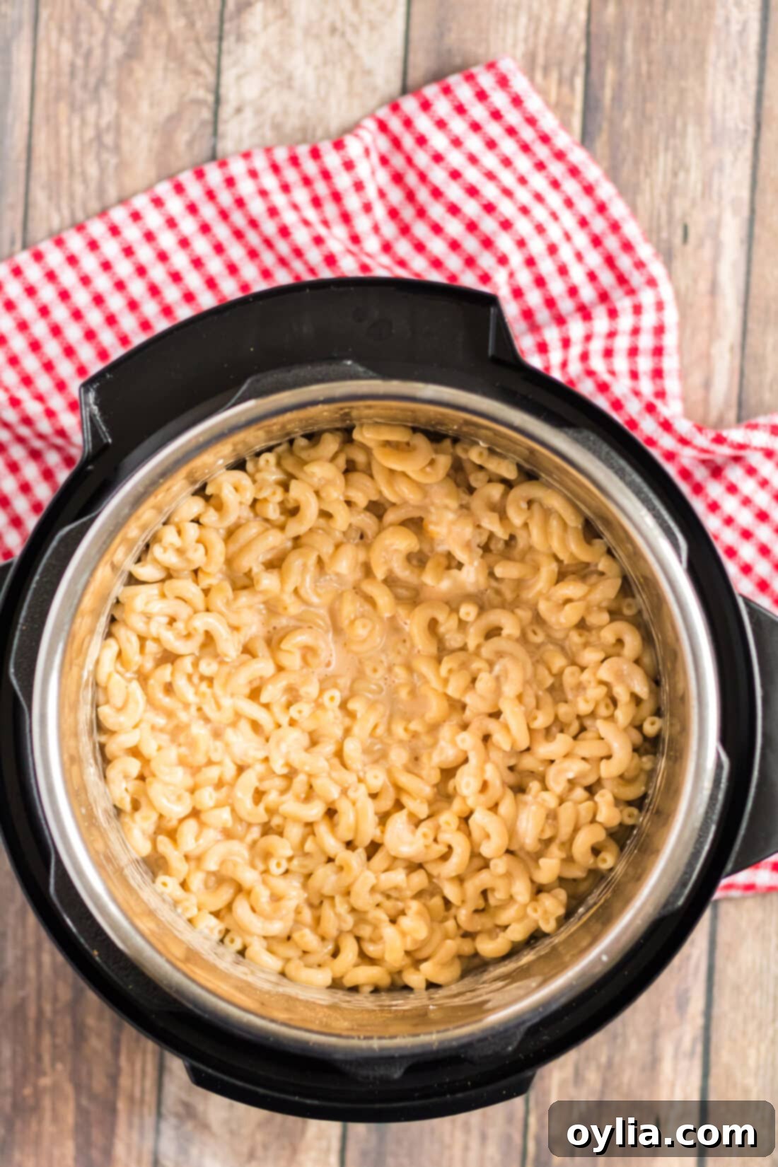 Instant Pot releasing steam during a Quick Release