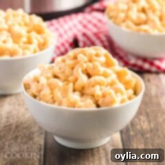 bowl of instant pot mac and cheese
