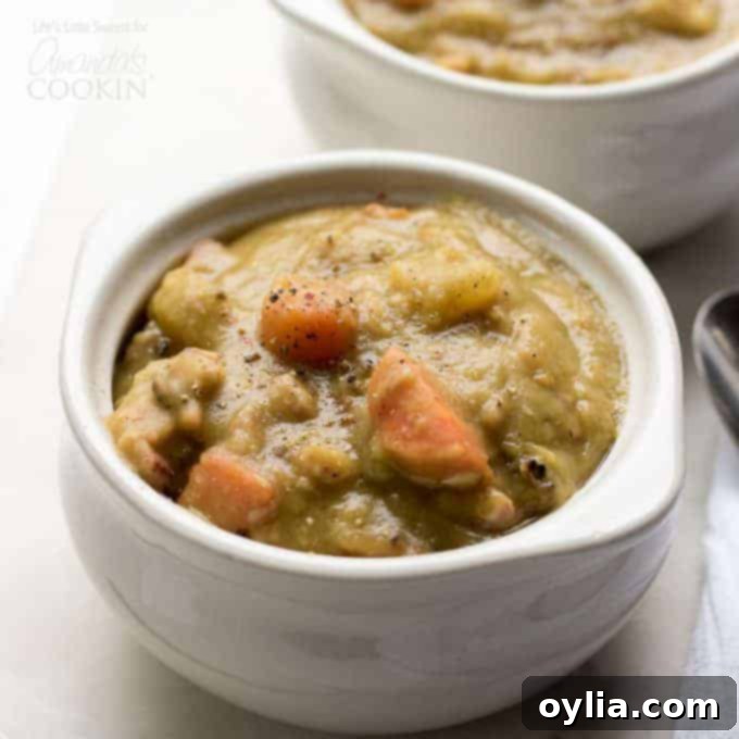 Split Pea Soup Square