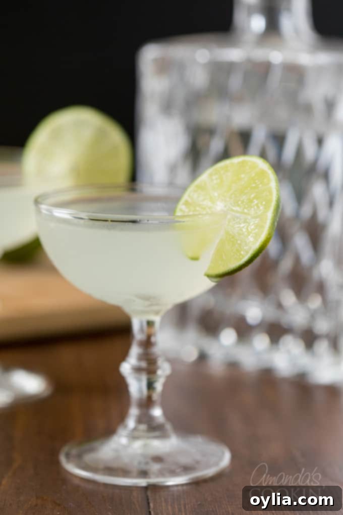 Coupe glass with Gimlet cocktail garnished with wheel of lime