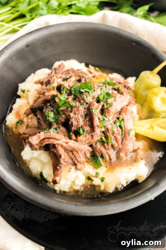 bowl of pot roast with potatoes
