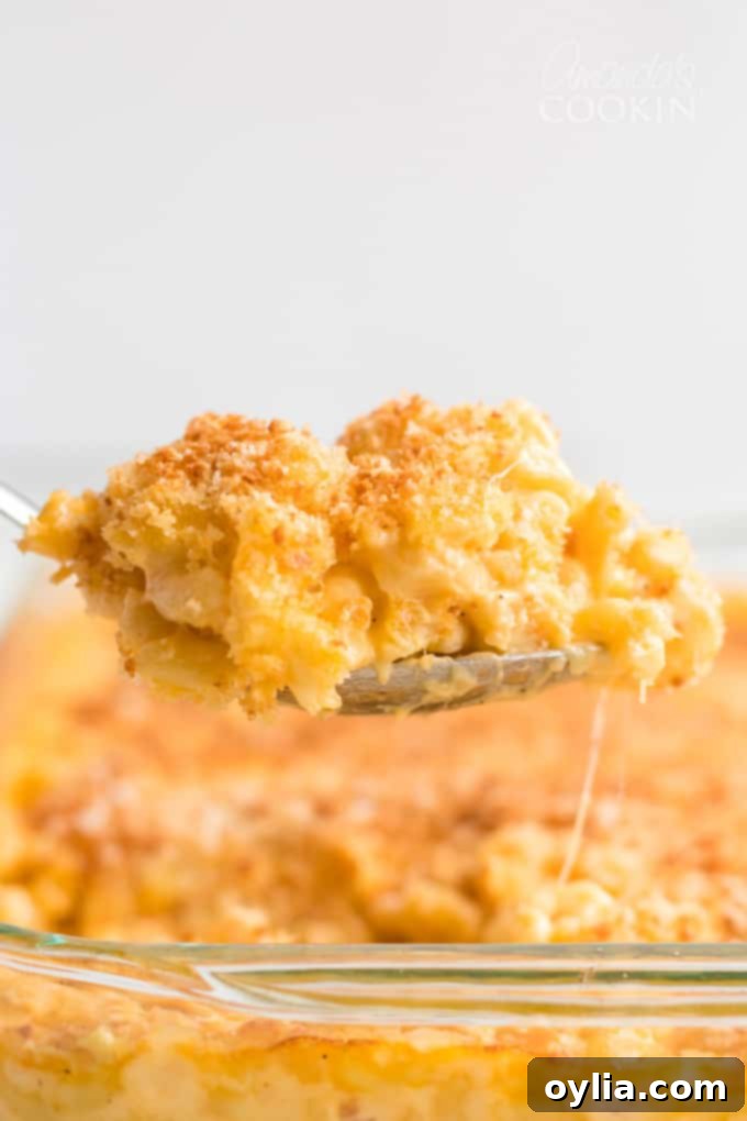 Baked macaroni and cheese served on a spoon, showing creamy texture and crunchy topping