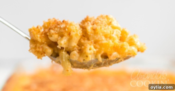 Serving spoon lifting a portion of baked mac and cheese with golden breadcrumbs