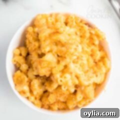 Golden Baked Mac and Cheese 2 Easy baked macaroni and cheese with a golden-brown top