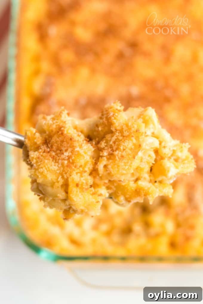 A spoonful of old fashioned baked mac and cheese casserole, showing the creamy pasta and crispy topping
