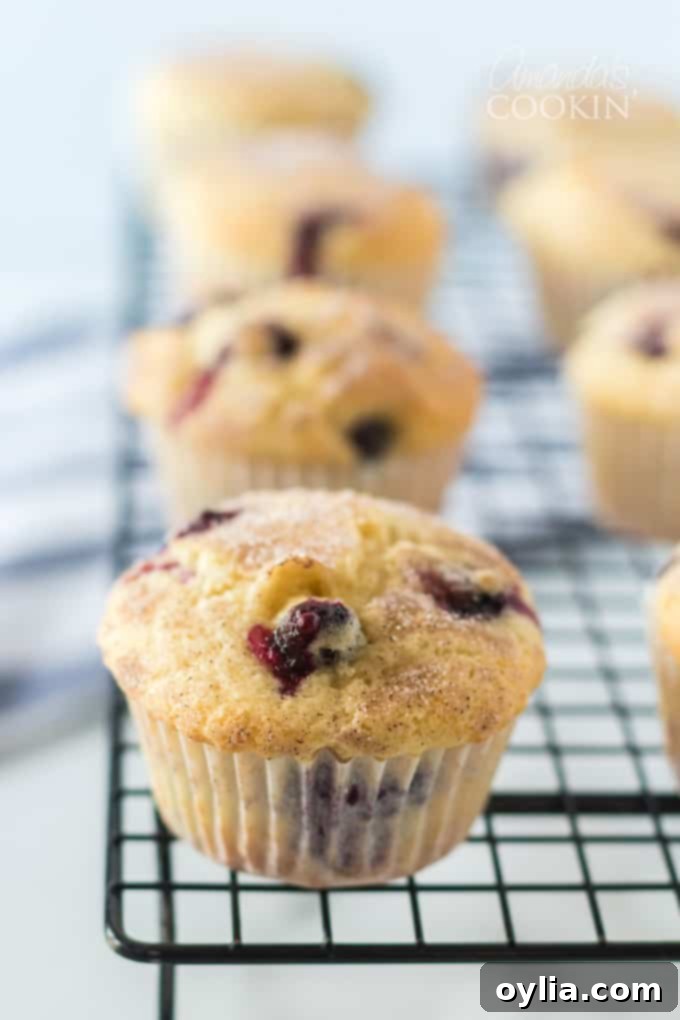 Freshly baked blueberry muffins cooling on a wire rack