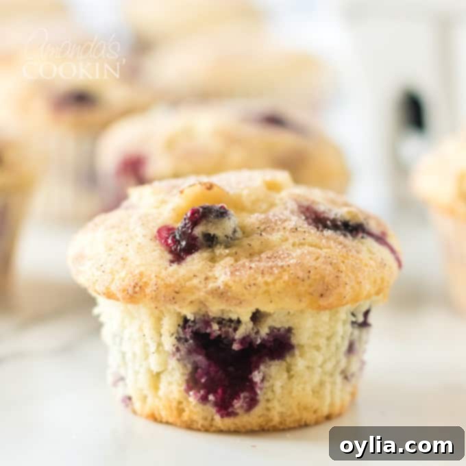 A single blueberry muffin, perfectly baked, ready to be eaten