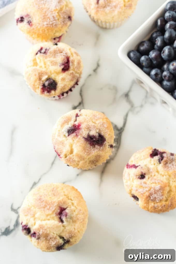 Overhead view of several blueberry muffins in a muffin tin, topped with cinnamon sugar