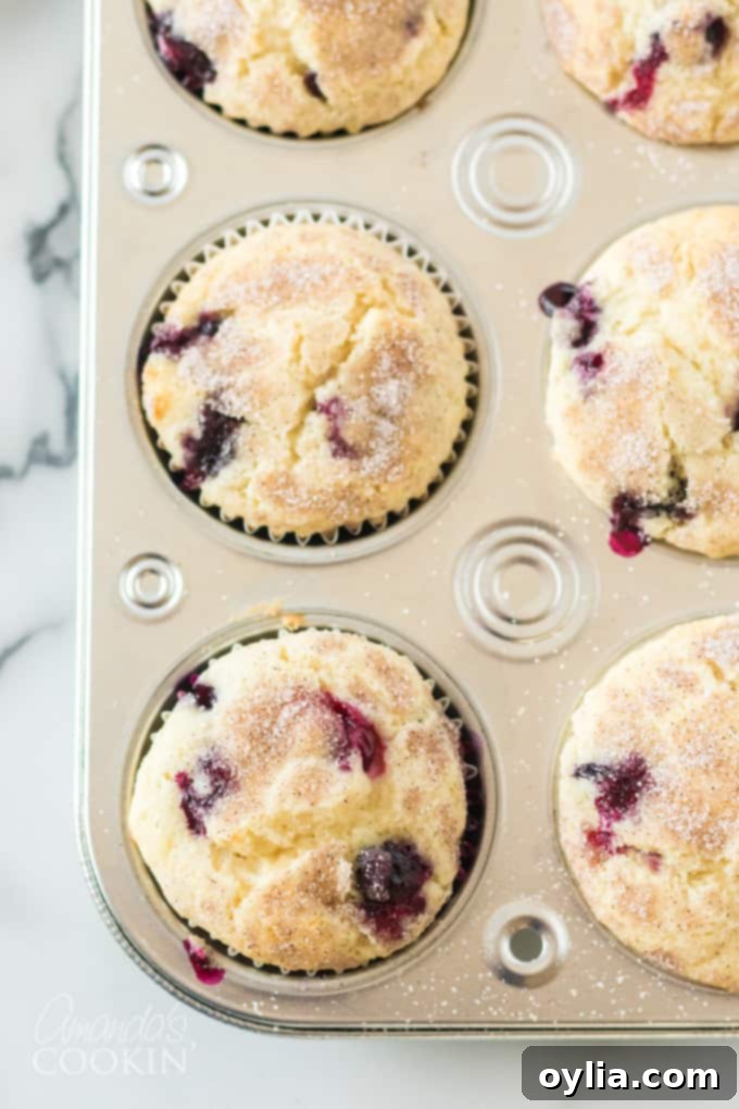 Muffin pan filled with baked blueberry muffins, cooling on a rack