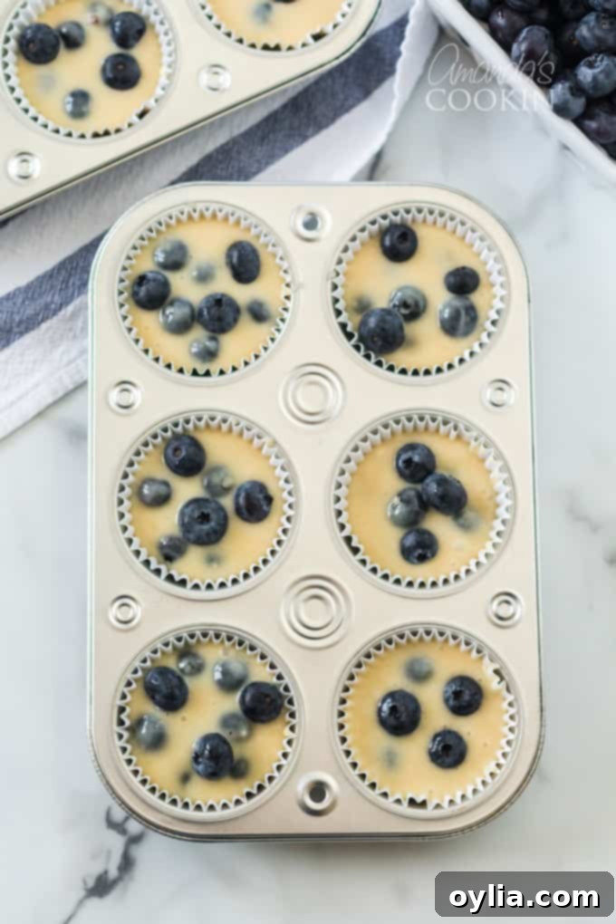 Muffin pan filled with blueberry muffin batter, ready for baking