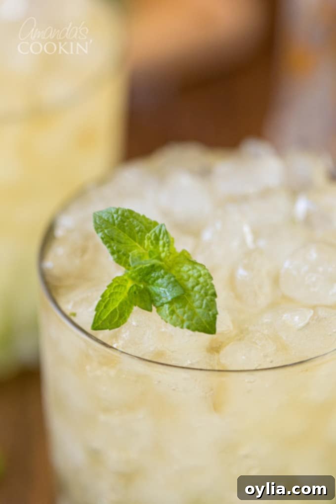 close up photo of Mint Julep