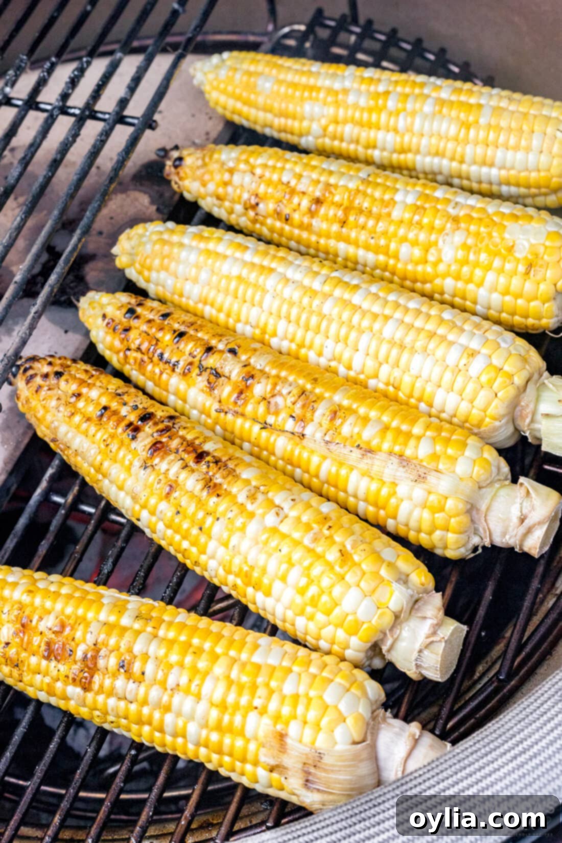 Mexican Corn on the Cob with Cheese, Mayo, and Latin Spices: The Best Summer Food! Enjoy this Mexican street food anytime with this easy recipe! #mexican #mexicancorn #cornonthecob #spices #latin #summer #summerfood #BBQ #grill Grilled corn on the cob with a wooden stick inserted, ready for coating.