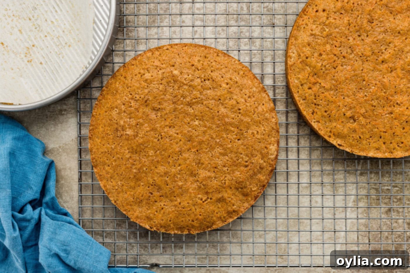 Freshly baked cake layers resting on a wire cooling rack after being removed from their pans.