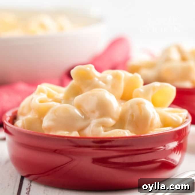 red bowl filled with copycat panera mac and cheese