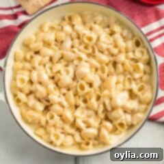 A bowl of pasta and cheese