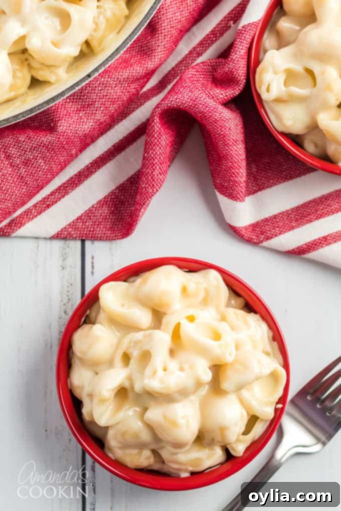 red bowl filled with copycat panera mac and cheese