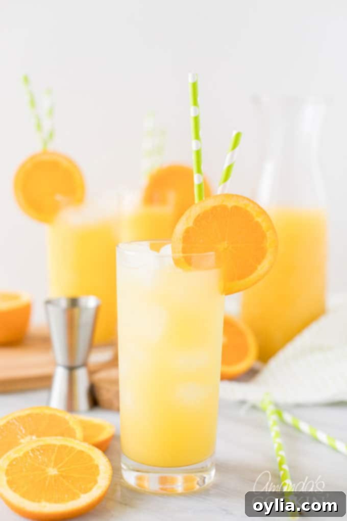 screwdriver drink in highball glass with slice or orange garnish
