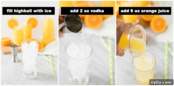 steps for making a screwdriver