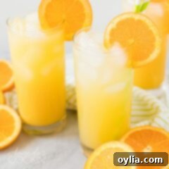 Perfect Screwdriver Cocktail 3 2 glasses of screwdriver cocktail garnished with orange wheels