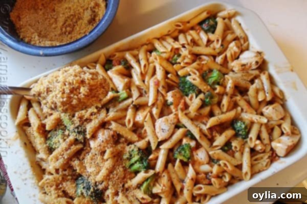 Baked penne pasta with chicken and smoked gouda cheese, a sophisticated pasta bake