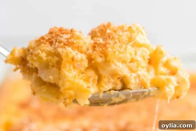 A spoonful of traditional baked mac and cheese casserole with a golden, crispy topping