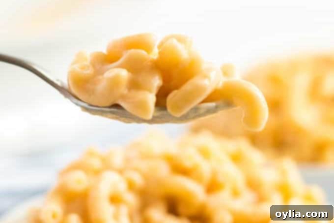A spoon scooping creamy homemade stovetop macaroni and cheese