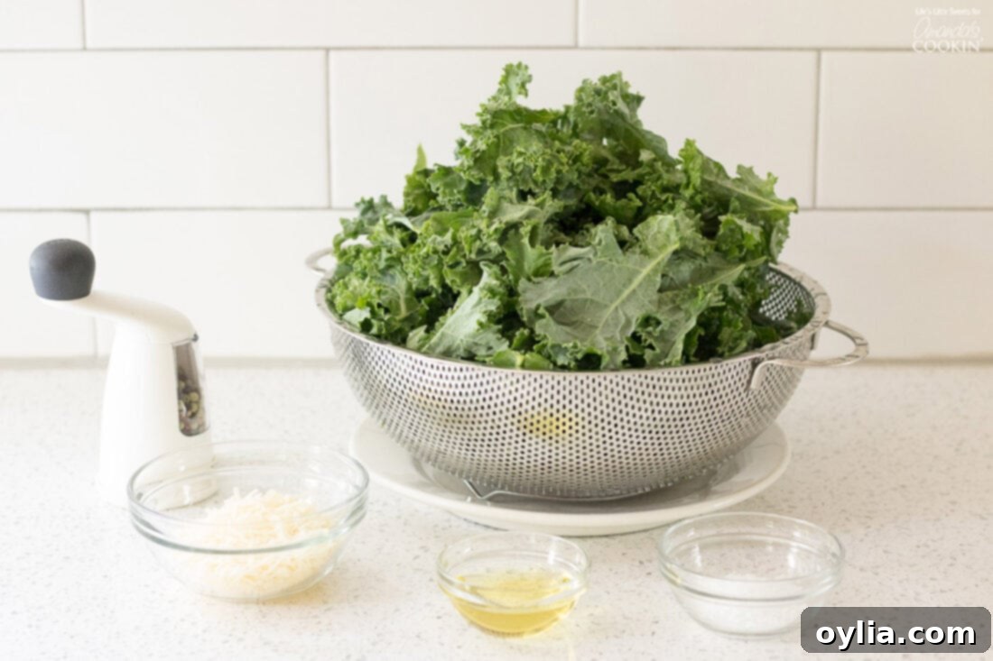 Ingredients for Kale Chips