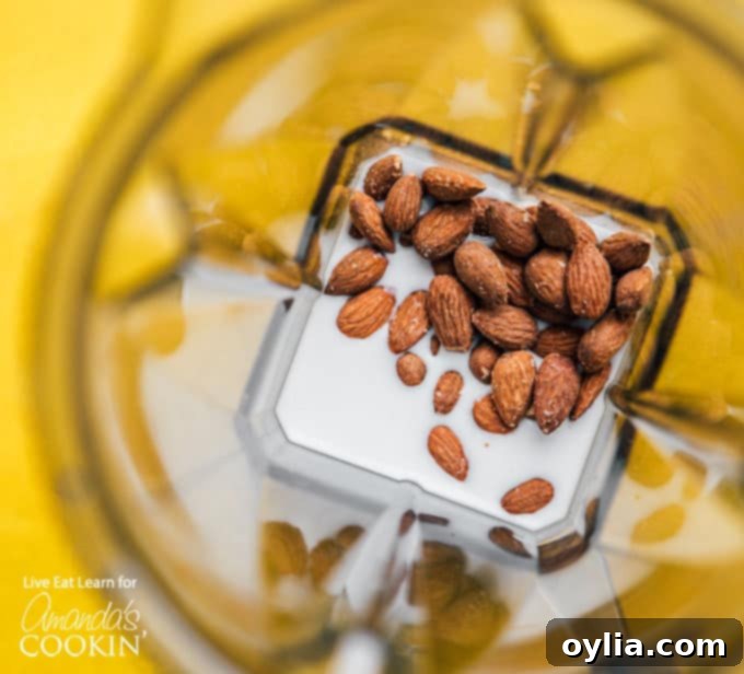 Ingredients for the dipping sauce, including coconut milk, salted roasted almonds, fresh garlic cloves, and seasonings, ready to be blended.