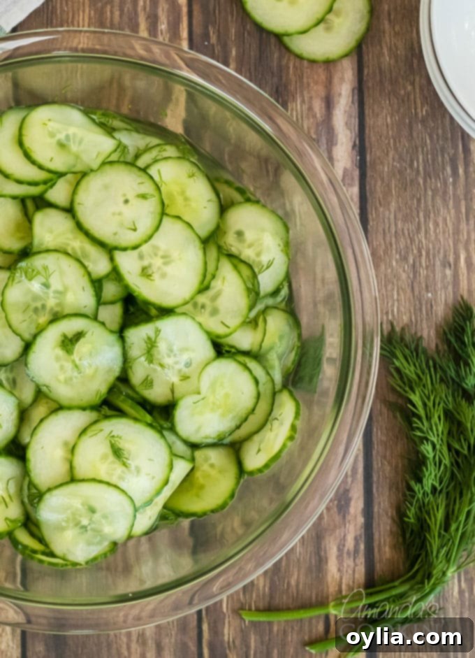 cucumber salad with vinegar dressing and fresh dill in a large bowl