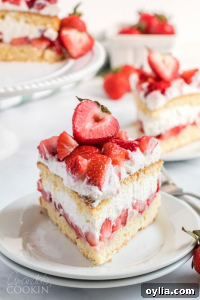 a slice of cake on a plate