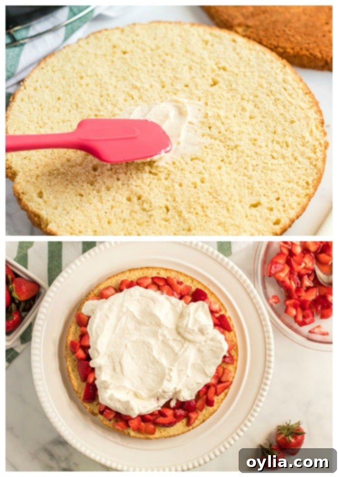 fig. 1 - spreading butter on cake layer; fig. 2 - cake layer with whipped cream and strawberries on top