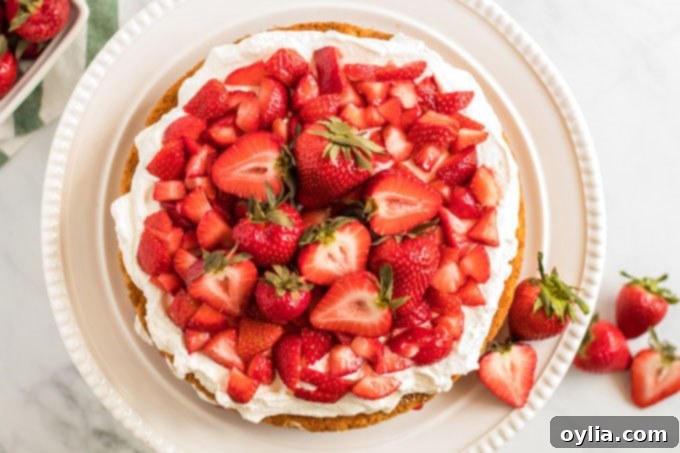decorated strawberry shortcake overhead view