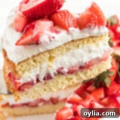 slice of strawberry shortcake on pie server