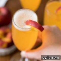Bellini cocktail served in a champagne flute, garnished with a peach slice, ready for enjoyment.