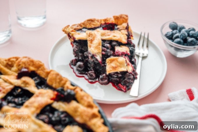 Blueberry Pie is a timeless classic. This recipe will show you how to make the perfect blueberry pie for your next party or get together. Slice of blueberry pie on plate