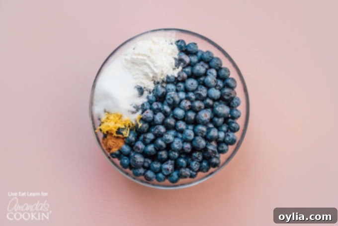 Blueberry Pie is a timeless classic. This recipe will show you how to make the perfect blueberry pie for your next party or get together. ingredients in mixing bowl