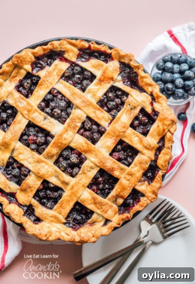 Blueberry Pie is a timeless classic. This recipe will show you how to make the perfect blueberry pie for your next party or get together. Blueberry pie overhead shot with lattice crust