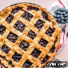 Bursting Berry Bliss 2 overhead view of blueberry pie