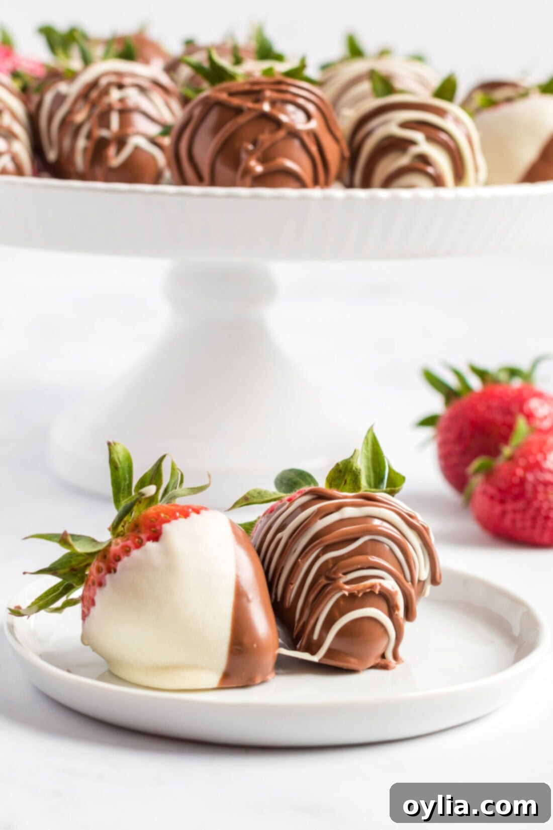 Two Chocolate Covered Strawberries on a plate with more in the background
