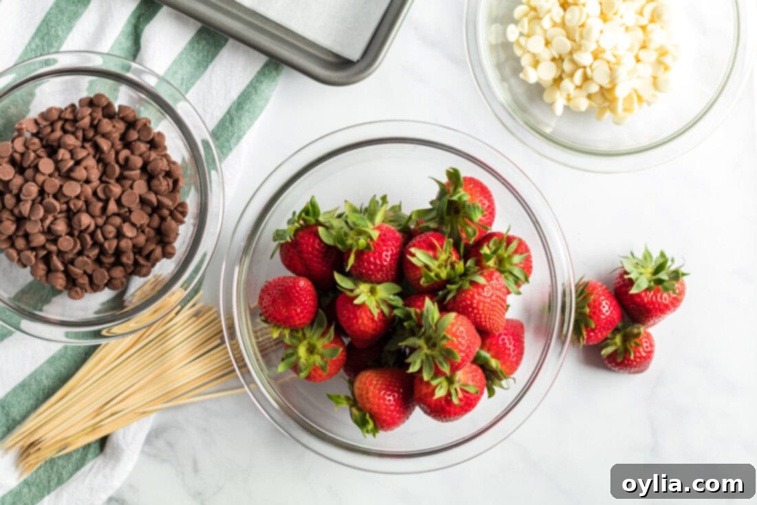 Ingredients for Chocolate Covered Strawberries