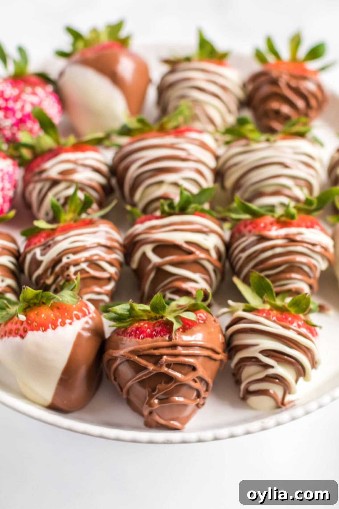 Close up photo of Chocolate Covered Strawberries on a plate