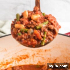 ladle full of hamburger stew