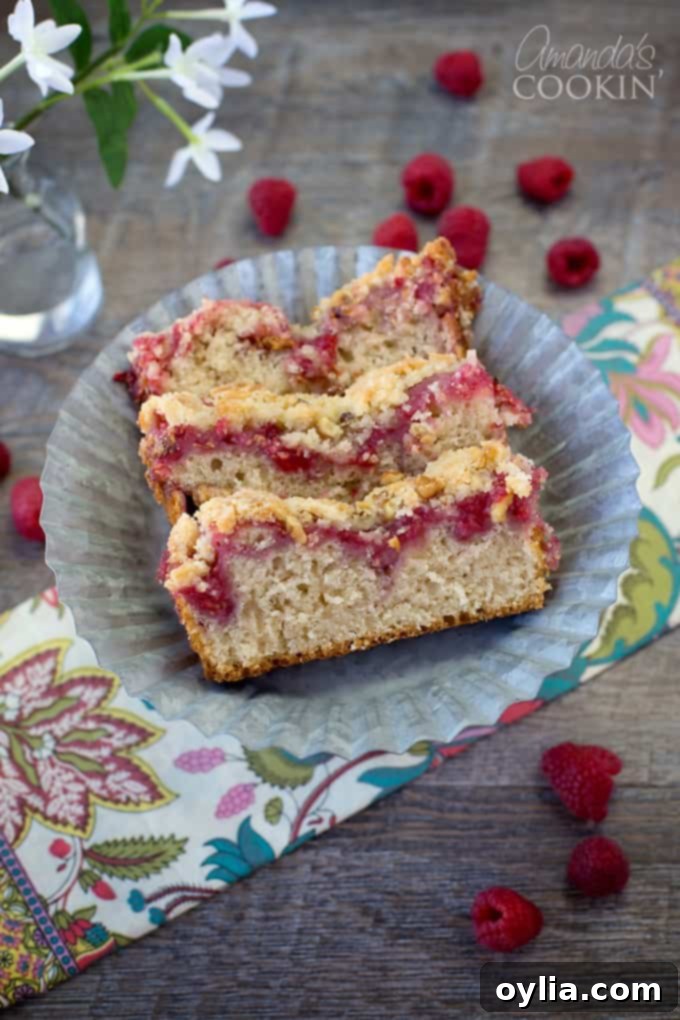 An overhead picture of three luscious raspberry coffee cake slices, perfectly arranged on a serving plate, inviting a taste.