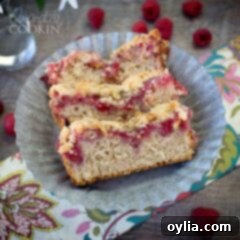An overhead picture of three raspberry coffee cake slices, beautifully presented and ready to be served.