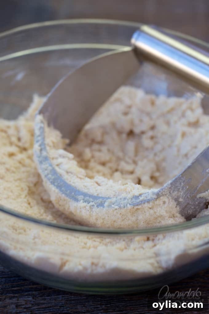 A clear bowl filled with the coarse crumb mixture and a pastry blender, demonstrating the perfect texture achieved after cutting in butter.